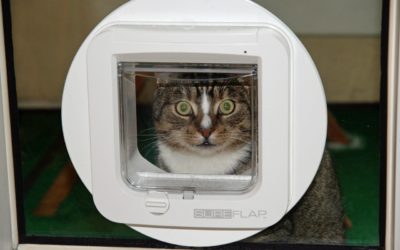 Quels sont les avantages ou inconvénients d’une chatière électronique ?
