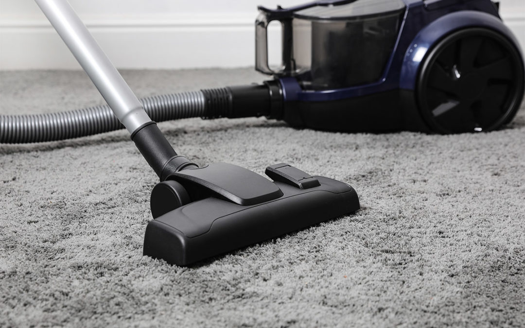 Bien choisir son aspirateur spécial poil de chat