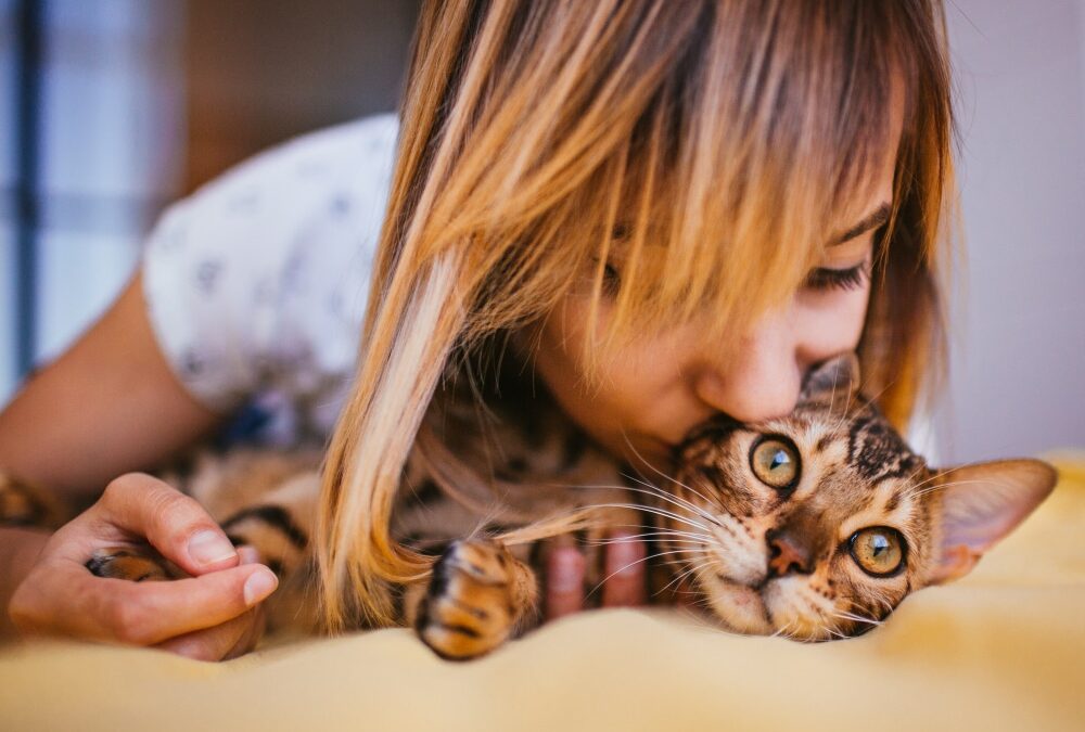 Rêver de chat : significations, interprétations et symbolique cachée